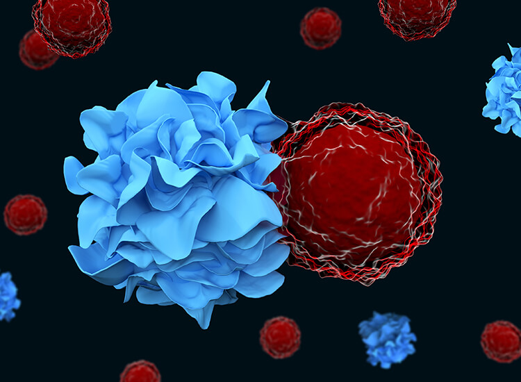 Illustration 3d d'une cellule dendritique interagissant avec une cellule immunitaire T