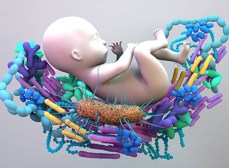 microbiome de l'intestin du nourrisson, matériel génétique de tous les microbes