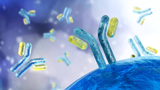 anticorps, immunoglobulines, système immunitaire, rendu 3D