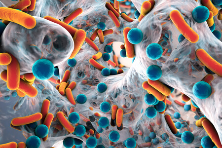 Biofilm de bactéries résistantes aux antibiotiques, vue en gros plan. Bactéries sphériques et en forme de trèfle. Escherichia coli, Pseudomonas aeruginosa, Mycobacterium tuberculosis, Klebsiella, Staphylococcus aureus, MRSA