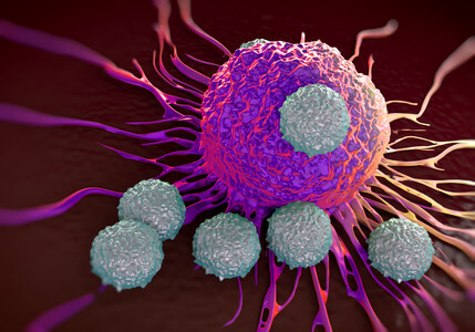 T-cellules attaquant les cellules cancéreuses