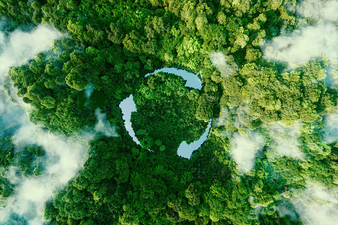 Photo aérienne d'une forêt